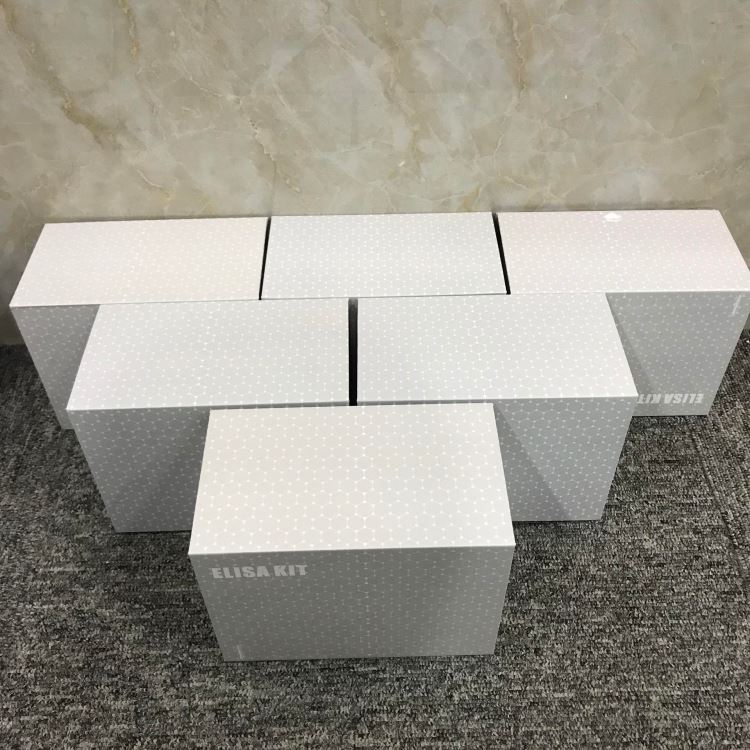 睿信生物 猪磷酯酶Cγ链（PLCγ1）elisa试剂盒_可编程控制器/PLC_控制器_工业自动化_供应_工品联盟网