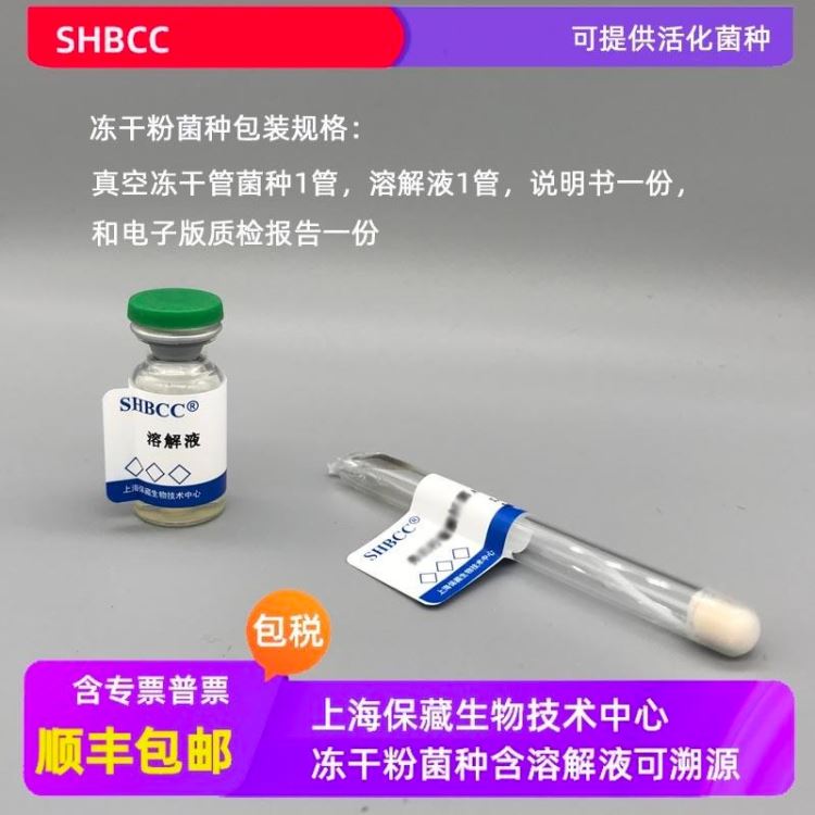 SHBCC 冻干粉  运动发酵单胞菌运动亚种 ATCC 10988 0代菌种 0代菌株 可定制 厂家直销 上海保藏中心