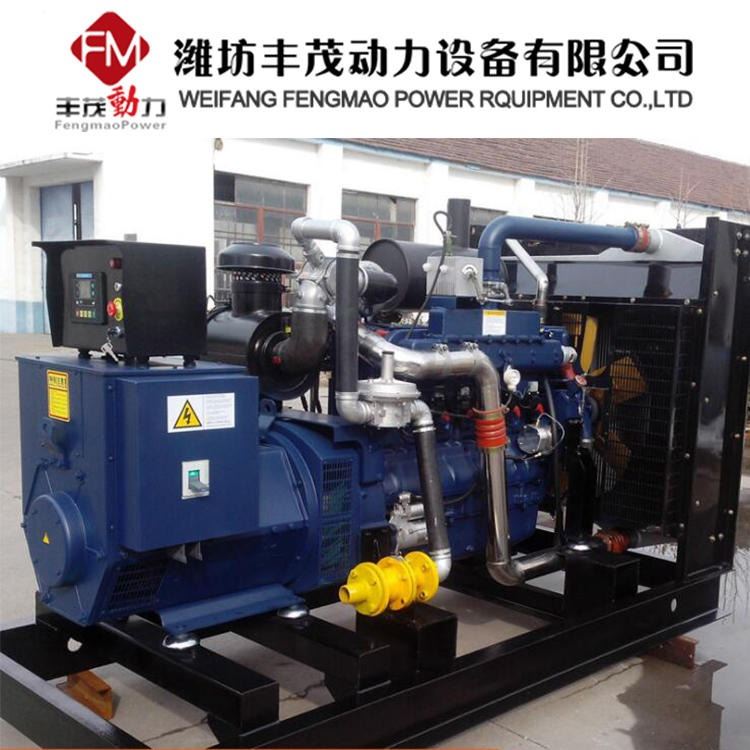 厂家直销200千瓦燃气发电机组 200KW燃气发电机组 实用性能高发电机组_燃气发电机组_发电机、发电机组_电工电气_供应_工品联盟网
