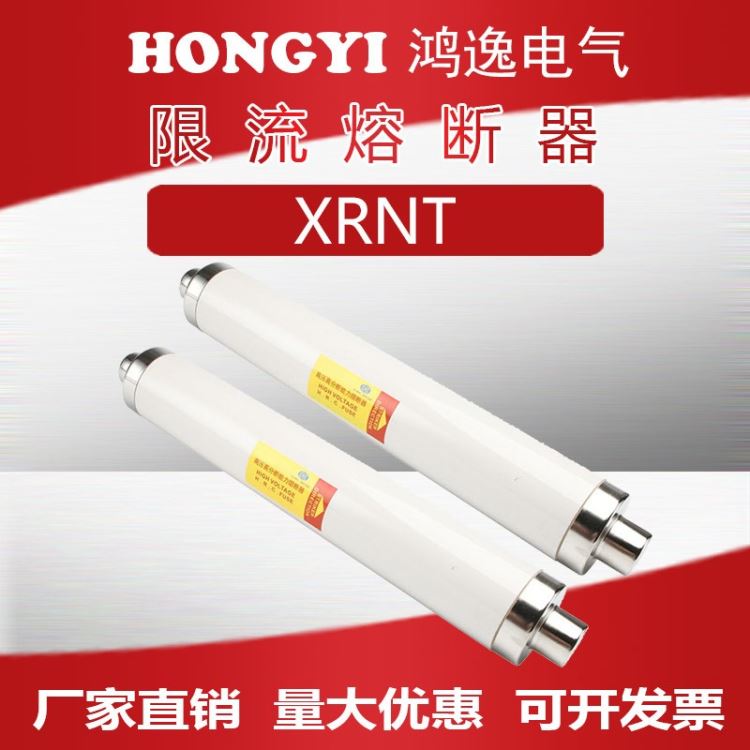 浙江鸿逸电气 高压限流熔断器 XRNT-12/50-100 高压高分段断路器 陶瓷保护熔断器 熔断保险丝_熔断器_高低压电器_电工电气_供应_工品联盟网
