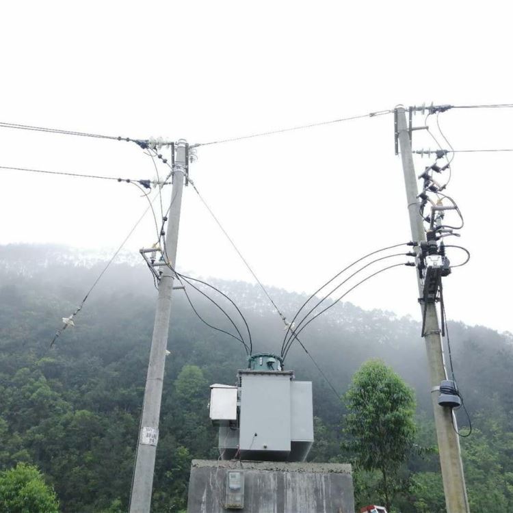 南业电力  线路调压器  自冷线路调压器   SVR-10KV油浸式自冷线路调压器供应商