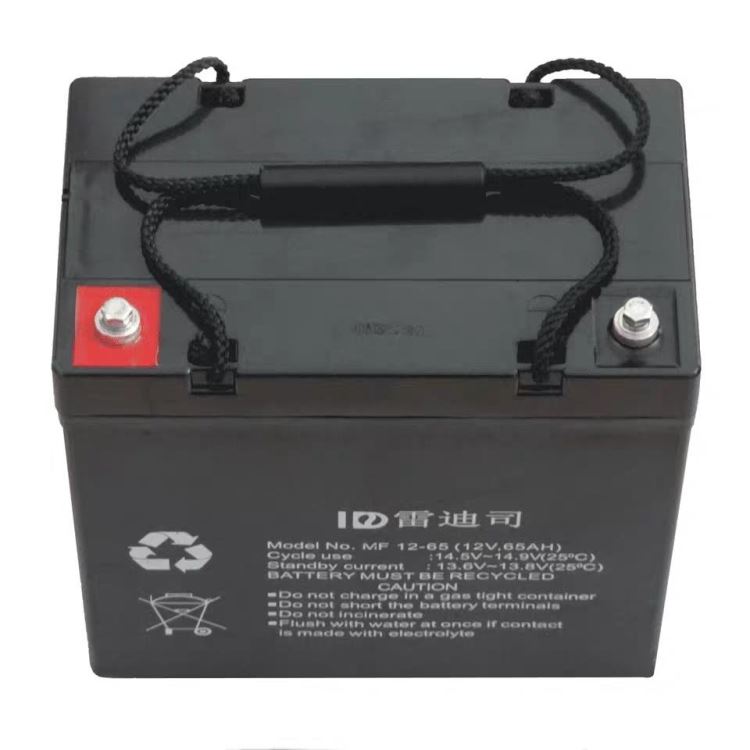 雷迪司蓄电池MF12-65 雷迪司电池12V65AH  铅酸免维护蓄电池 UPS电源专用电池 雷迪司电池代理