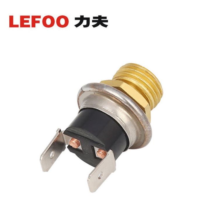 力夫LEFOO微型蒸汽压力开关 电压力锅传感器 蒸汽清洗机专用蒸汽压力开关 纯银触点_压力开关_开关_电工电气_供应_工品联盟网
