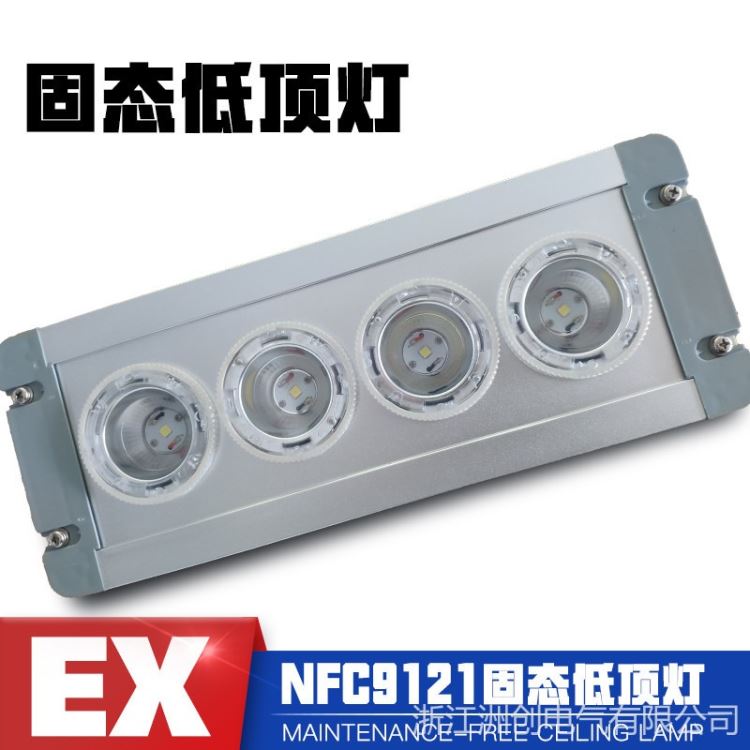 NFE9121LED应急低顶灯 NFC9121A地沟月台灯 线缆廊道专用应急灯