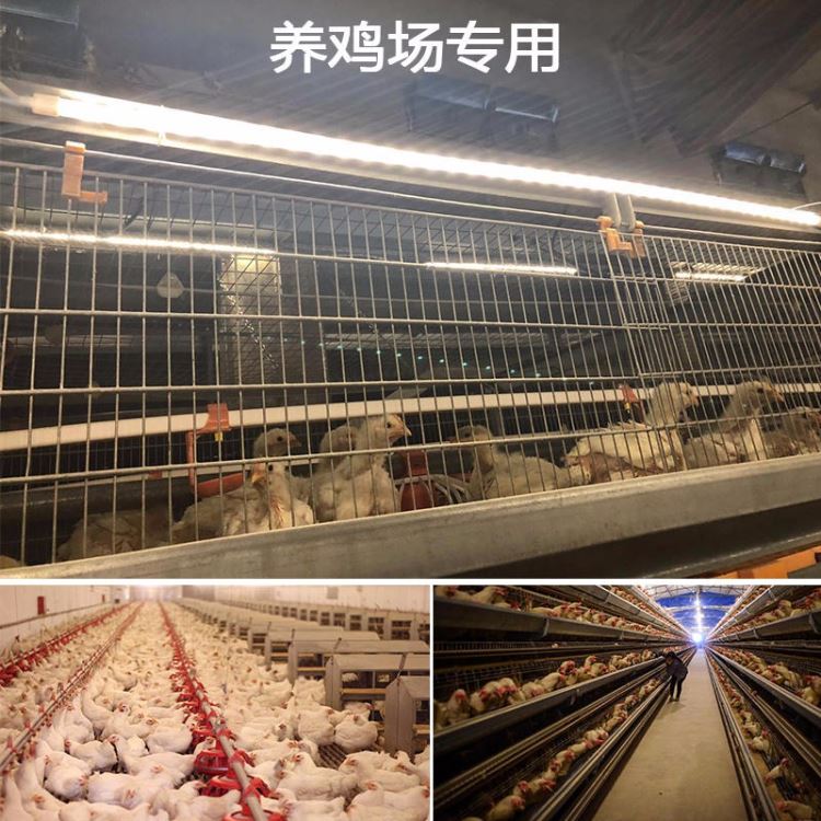 山东养殖灯 可调光低压防水T5养鸡场灯管 LED灯管3W-5W可调光灯管 普瑞斯_LED灯管_光源_工业照明_供应_工品联盟网