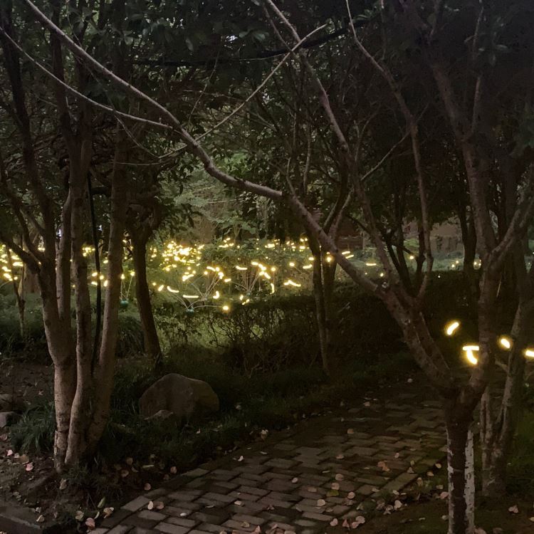 景区旋转跳跃的萤火虫灯夜游公园草从萤火虫灯光亮化造型装饰灯厂家