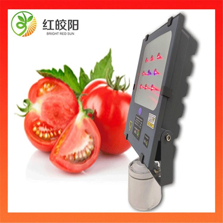 红皎阳激光植物补光灯 c101型号草本植物适用型号一亩地一台灯_台灯_室内灯具_工业照明_供应_工品联盟网