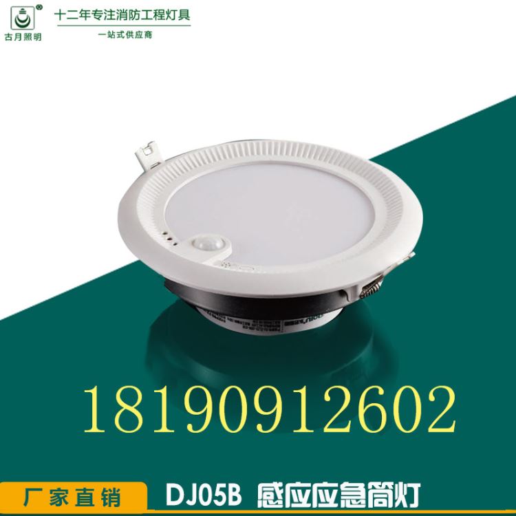 LED感应/应急筒灯_筒灯_室内灯具_工业照明_供应_工品联盟网