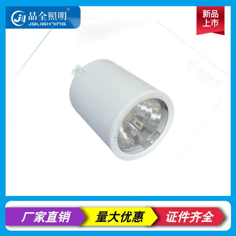 GC003 华荣同款 节能筒灯 探照灯 泛光灯 LED灯具