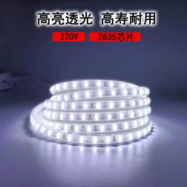 LED灯带 防水220V2835高压灯带 玖恩灯具_灯带_室内灯具_工业照明_供应_工品联盟网