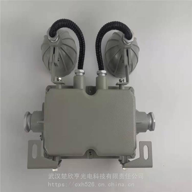 BYY防爆双头应急灯 粉尘防爆双头应急灯 防爆疏散指示灯_应急灯具_室内灯具_工业照明_供应_工品联盟网