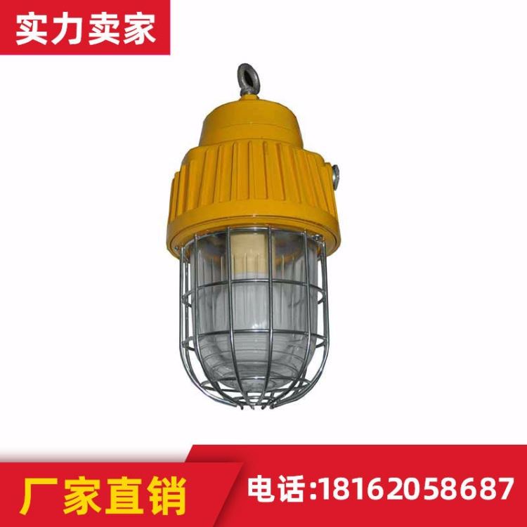 金煤矿用隔爆型投光灯DGS70/ 127L矿用LED巷道灯 DGS18/127L(A)巷道灯 防爆照明灯 可靠_投光灯_室外灯具_工业照明_供应_工品联盟网
