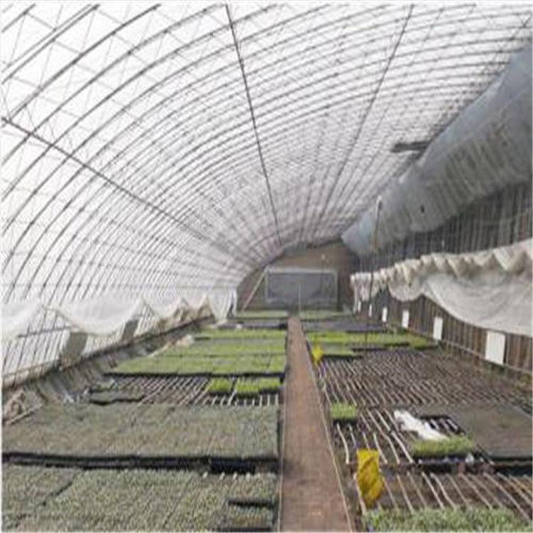 专业设计日光温室 智慧农业温室大棚的设计 旭航温室