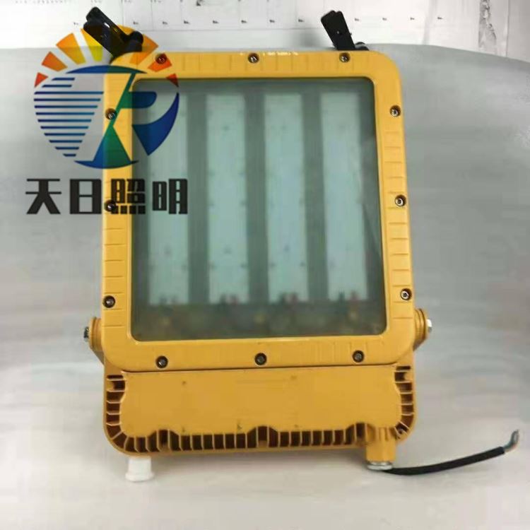 GRBCD58防爆灯 汇彩 NFE010防爆泛光灯 RLEFL319-XL100W防爆泛光灯_防爆泛光灯_防爆灯具_工业照明_供应_工品联盟网