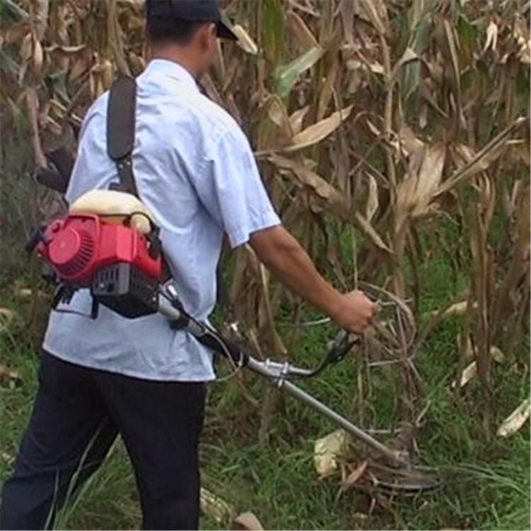 园林机械工具 背负式汽油打草机 小型园林割草机 多功能小型收割机_园林机械_工程建筑机械_机械设备_供应_工品联盟网