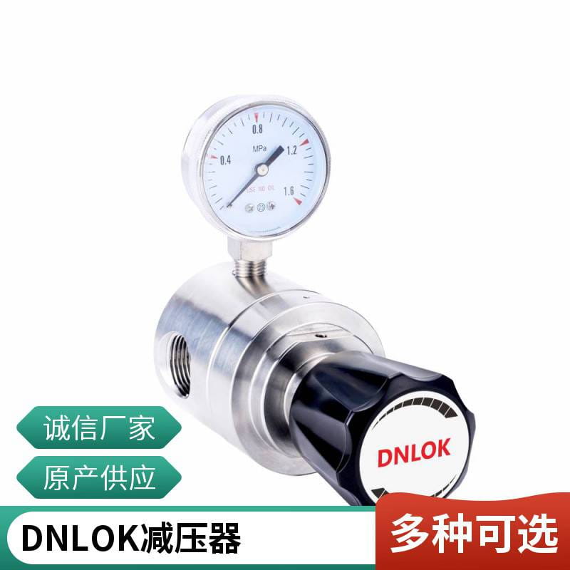 减压器一氧化碳不锈钢316L厂家直销进口膜片DNLOK