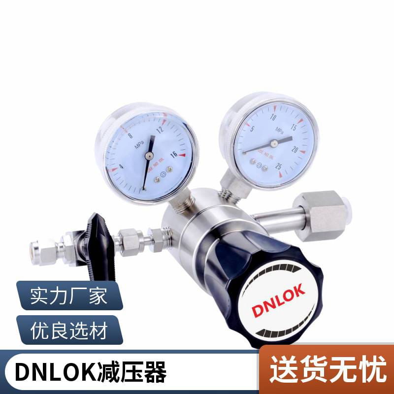 DNLOK氯气减压器不锈钢316L一氧化碳厂家直销进口膜片