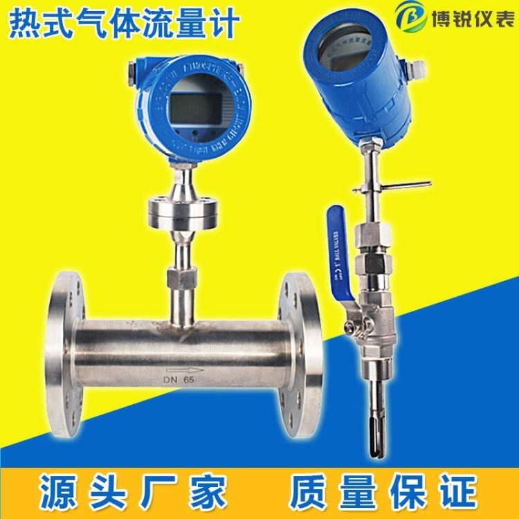 热式气体质量流量计 BR-RSL管段式焦炉煤气烟气氧气等气体流量计博锐空气测量仪表3_测量仪表_电工仪器仪表_仪器仪表_供应_工品联盟网