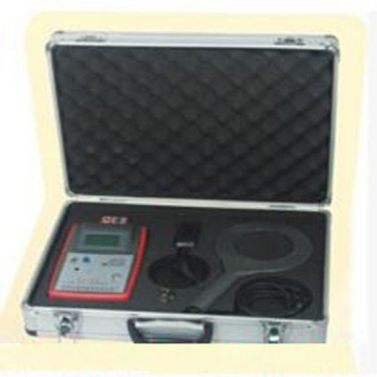 工频磁场场强仪 型号:GC04-RJ-5H库号：M401677 其他_场强仪_电子测量仪_仪器仪表_供应_工品联盟网