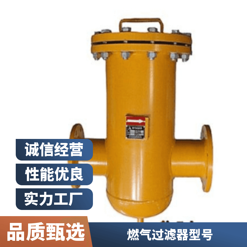 工业管道用安装方便碳钢材质Y型燃气过滤器 带差压表