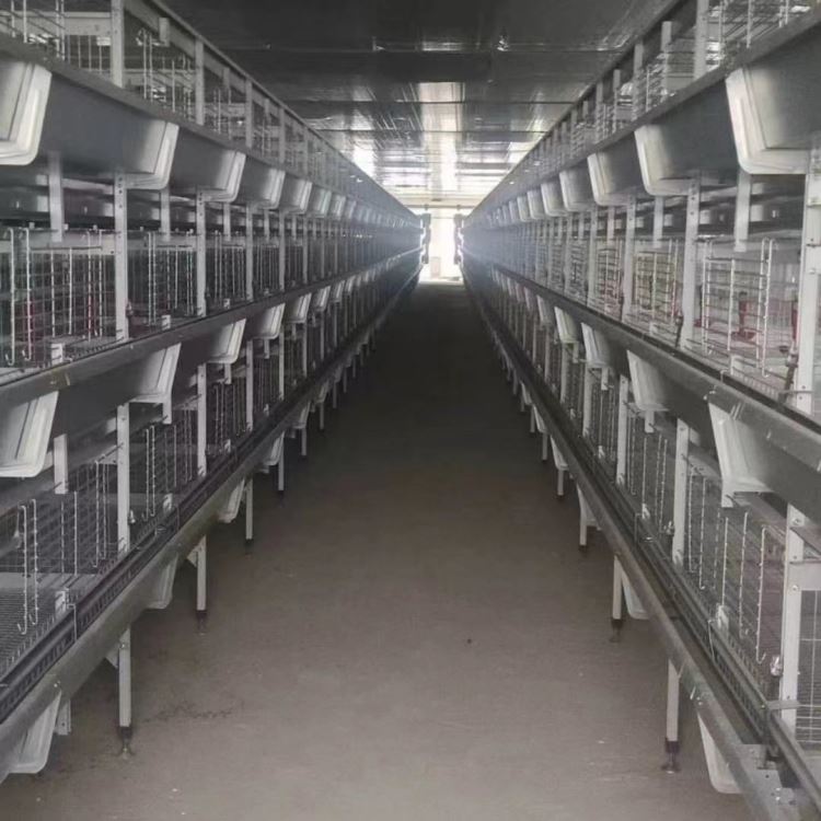 养鸡设备 层叠式 阶梯式 笼养设备喂料机 捡蛋机 清粪机 环境控制柜 柏业机械