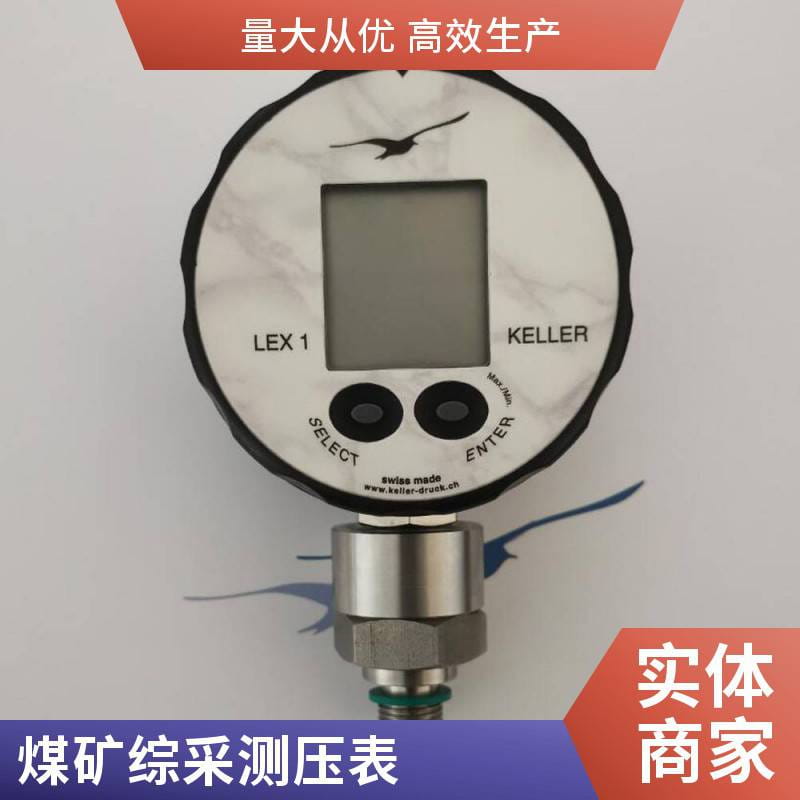 精密LEX1数字压力表 数显压力真空计 压力校准器 压力校验仪