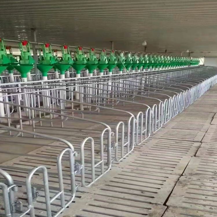 圆钢定位栏 母猪用圆钢产床 20圆钢整体热浸锌限位栏 猪哈哈定制_工业普通圆钢_普通圆钢_冶金矿产_供应_工品联盟网