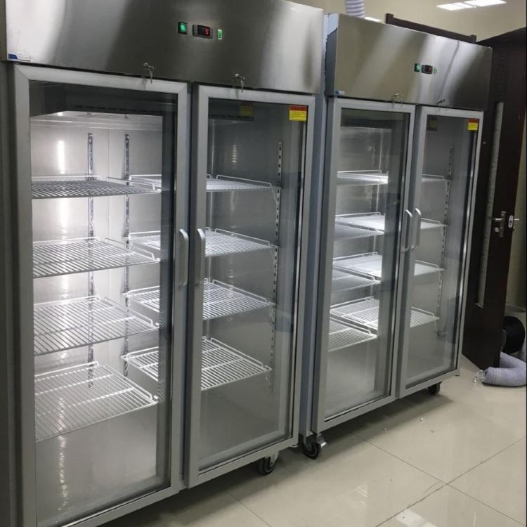厂家供应 生物组织病理标本冷藏柜 优质不锈钢两门标本冷藏柜 风冷型标本存储柜标本排毒冷藏柜