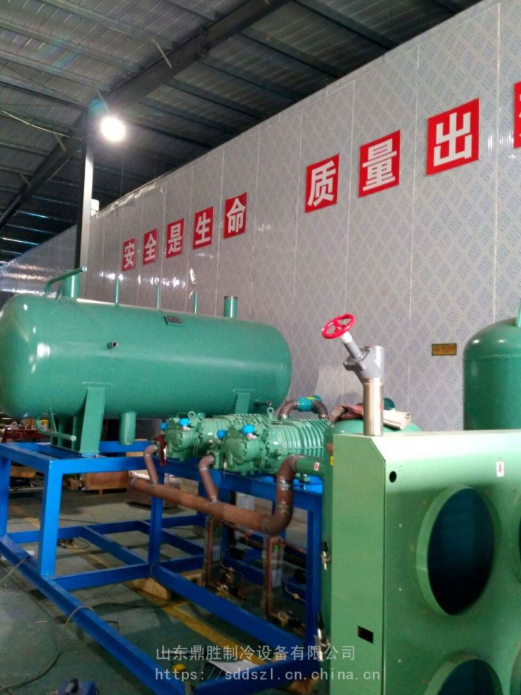 山东冷库制冷机组公司 生产 桶泵两并联冷库制冷机组 速冻库安装