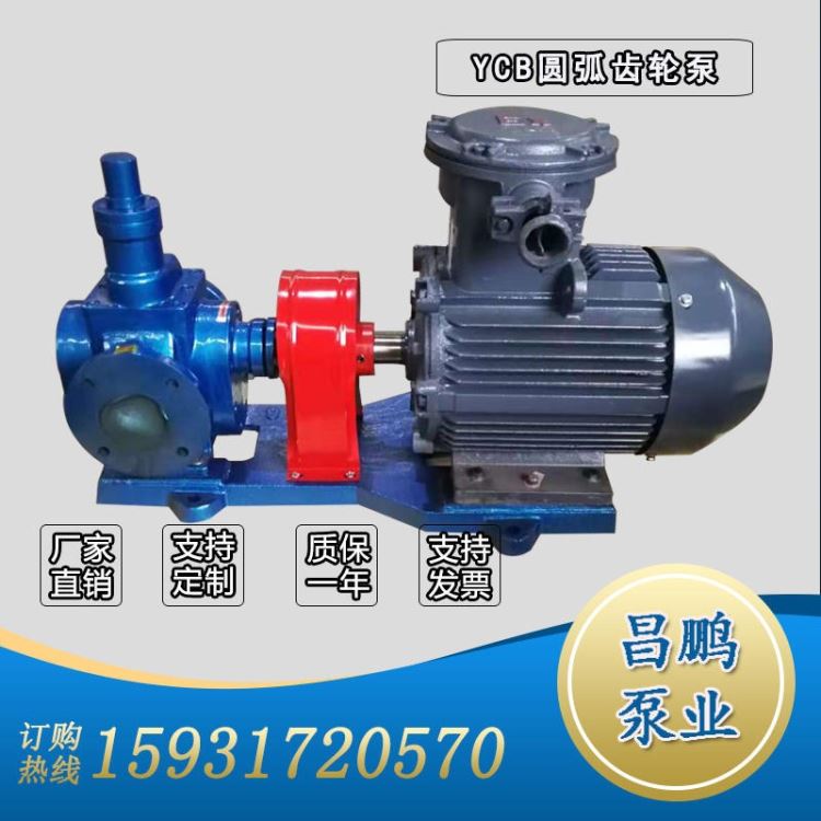 泊头YCB圆弧齿轮泵 变压器油输送泵 低噪音电动抽油泵 YCB4-0.6高温泵