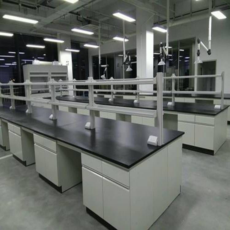 山东潍坊厂家定做实验室家具 铝木器皿柜铝木实验柜试剂柜药品柜