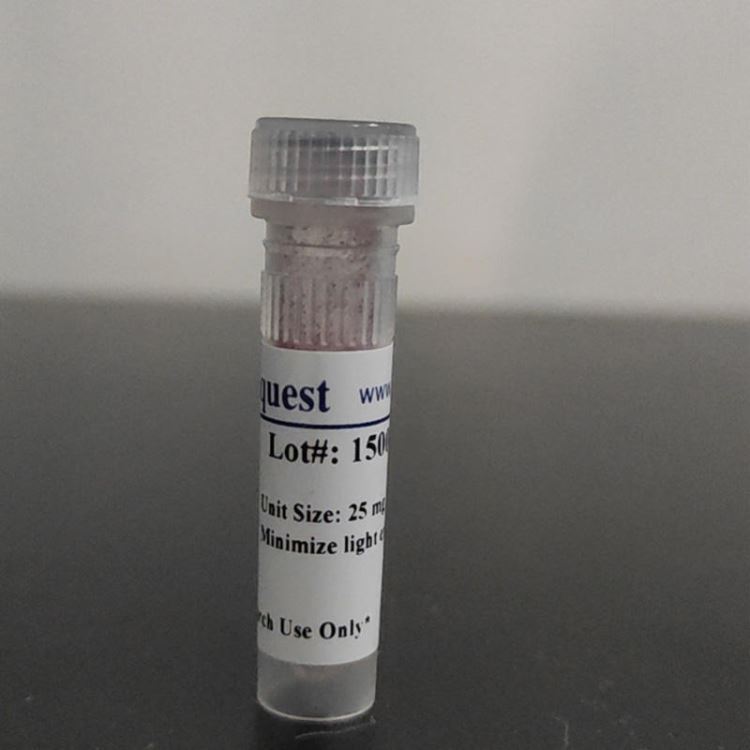 AAT Bioquest 品牌  常用转染试剂 无需溶解  直接使用 货号60020