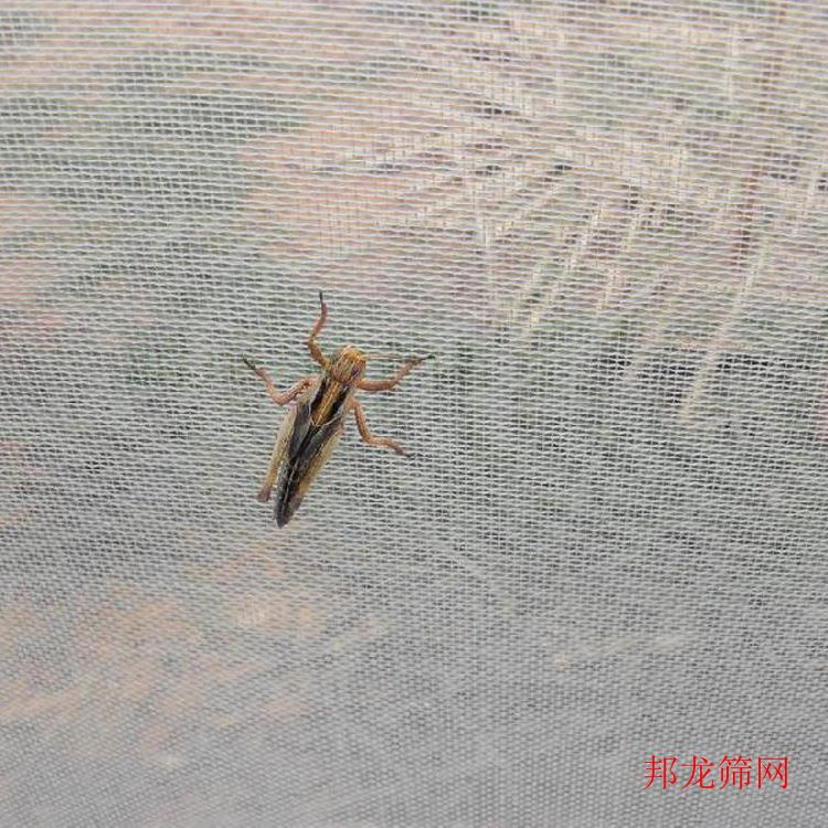 尼龙网青海尼龙网生产厂家砂布批发厂家直销目数:180目材质:PA-PE-PA6-PA66 邦龙筛网_砂轮砂布/砂带_磨具磨料_五金工具_供应_工品联盟网