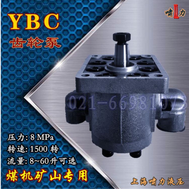 YBC-12/80齿轮泵 YBC-12/125齿轮泵煤机泵 YBC-12/125钻探机齿轮泵 啸力