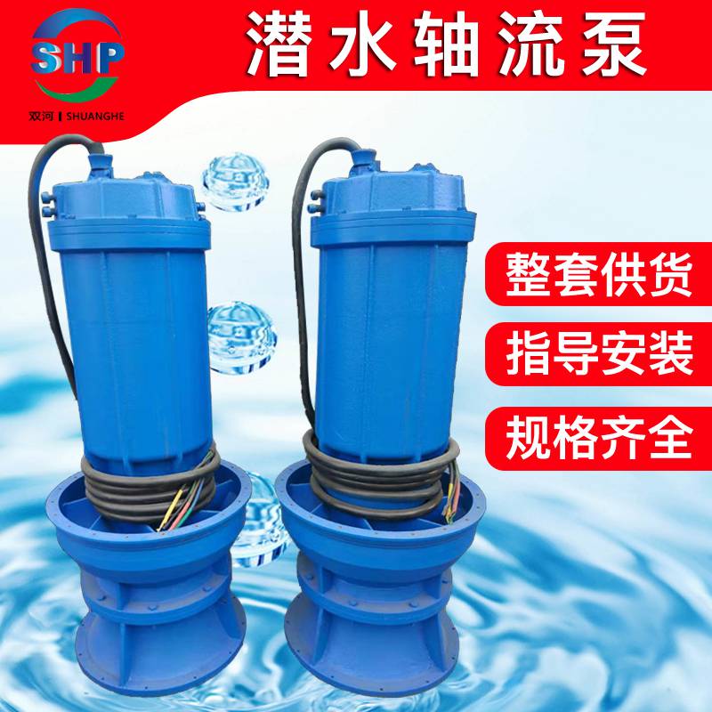 供应潜水轴流泵型号 井筒安装轴流泵 浮筒式轴流泵