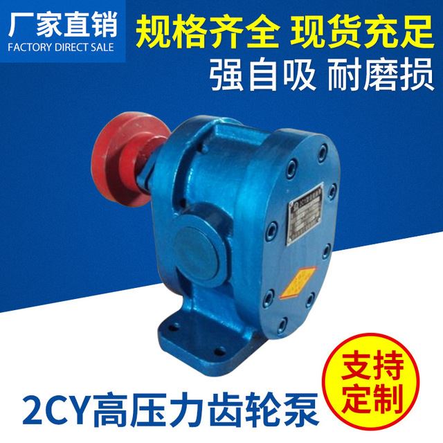 厂家批发2cy不锈钢齿轮泵 保温沥青齿轮泵 高耐磨双轮齿轮泵高压齿轮泵_齿轮泵_泵类_五金工具_供应_工品联盟网
