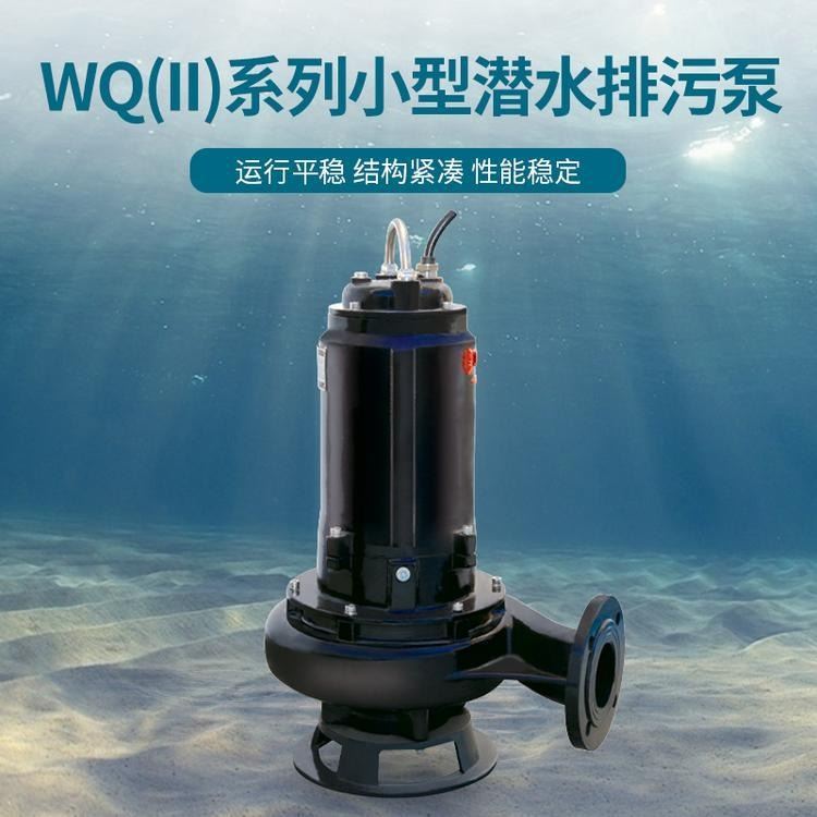连成水泵 小型排污泵 WQ(II)排污泵