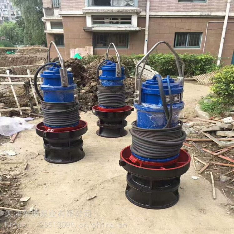 天津简易式潜水轴流泵-大流量变频潜水轴流泵-潜水轴流泵_轴流泵_泵类_五金工具_供应_工品联盟网