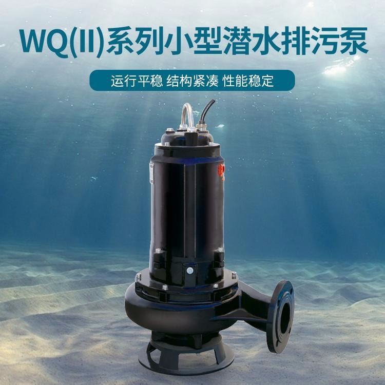 上海连成排污泵 潜水排污泵 铸铁排污泵 WQ(II)50-10-3