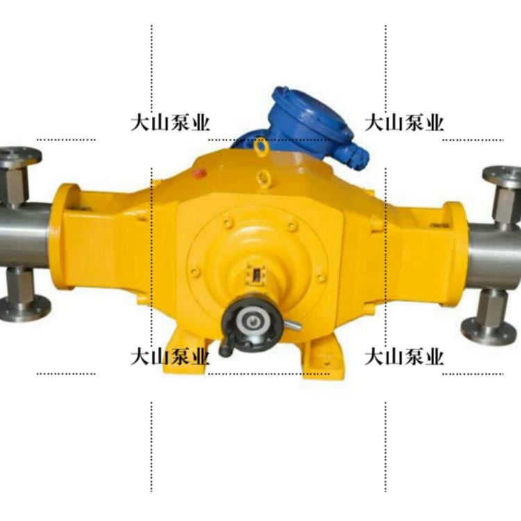 DZD2柱塞式计量泵