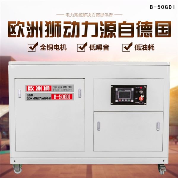 欧洲狮动力50kw静音汽油发电机组