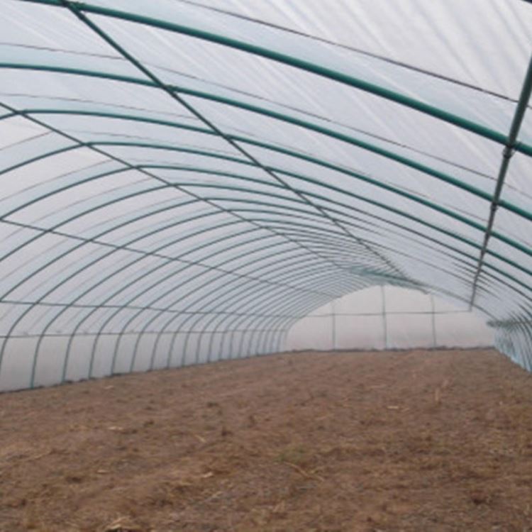 加工定制母子棚 连栋蔬菜大棚造价每亩 茶叶种植钢架温室 特种养殖大棚