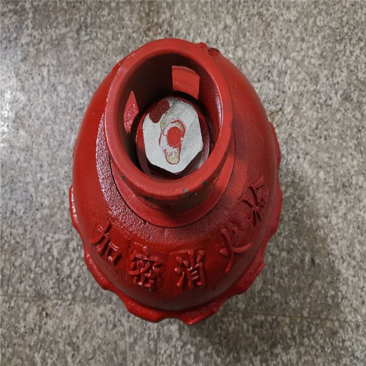 SS100/65-JM防盗加密消火栓 加密型消火栓 厂家生产 兴龙_消防水带_消防器材_安全防护_供应_工品联盟网