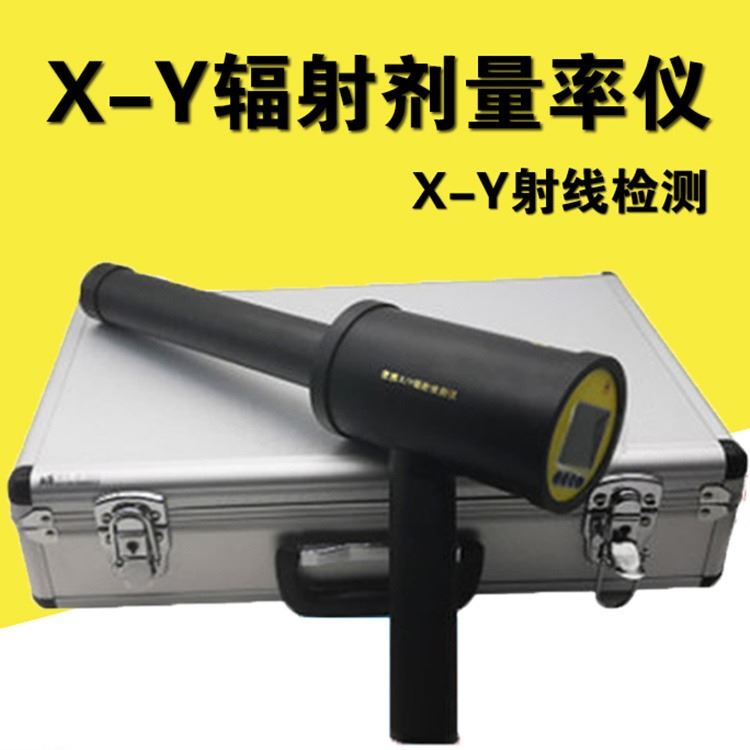 LK6000型X-Y 剂量率仪 便携式射线剂量检测仪  剂检测仪