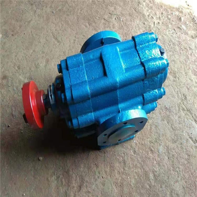 外润滑齿轮泵 WCB系列不锈钢齿轮泵  耐磨耐腐蚀齿轮泵 废油脂输送泵 酸渣油泵