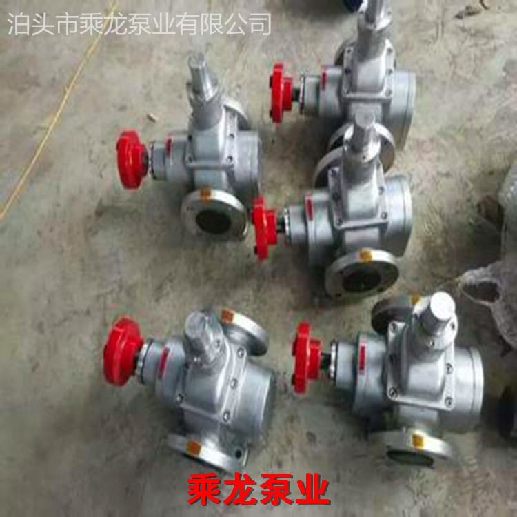 乘龙泵业YCB-15不锈钢圆弧齿轮泵 齿轮泵厂家 圆弧齿轮泵参数