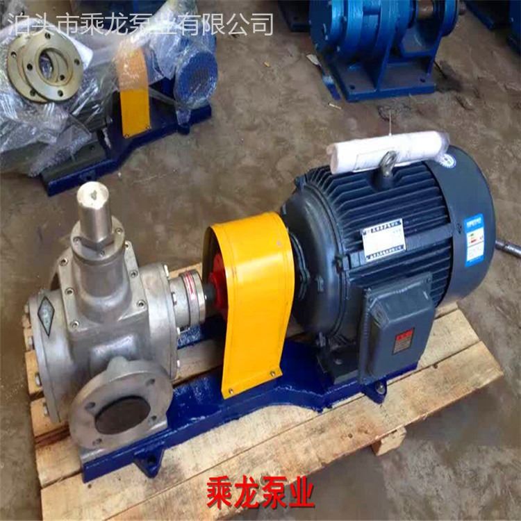 现货YCB-20不锈钢齿轮泵 耐磨齿轮泵 高压齿轮泵