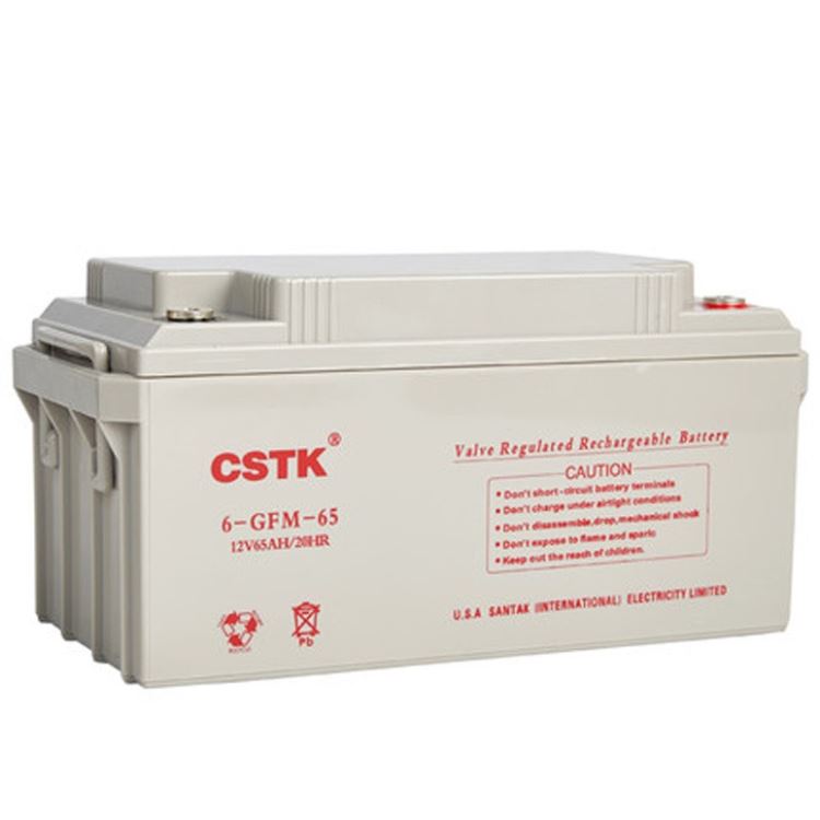 EXIUNST蓄电池 CSTK蓄电池厂家 UPS电源蓄电池 EX-12V24AH电瓶电池价格 STKPOWER蓄电池