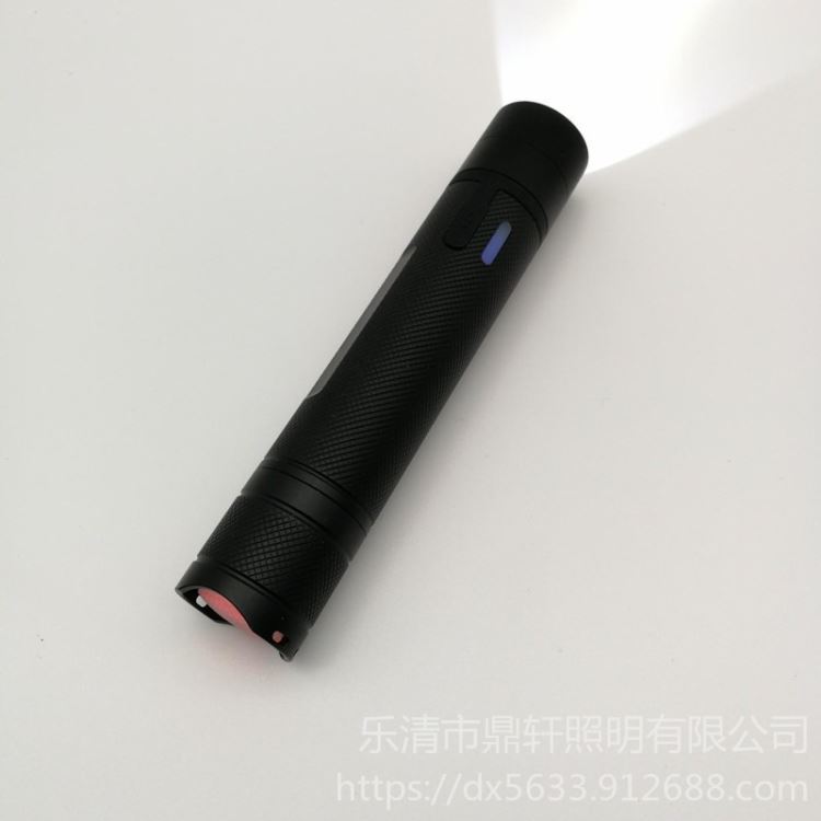 鼎轩照明 FD-FBP240/10D消防员照明灯具 佩戴式照明手电筒 电量显示功能 3W_风光互补照明灯具_智慧照明_工业照明_供应_工品联盟网