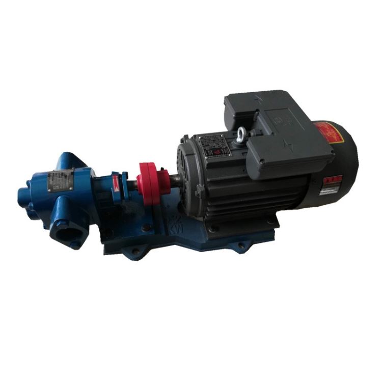 泊头油泵生产KCB齿轮油泵 抽油泵 豆渣泵 二相和渣机吸浆泵 皮带轮高温油泵